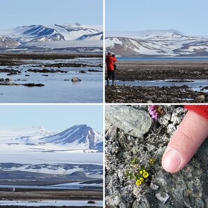 Spitzbergen II
