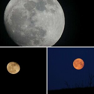 Mond