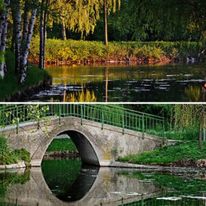 Naturfotografie