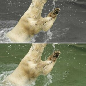 Im Zoo