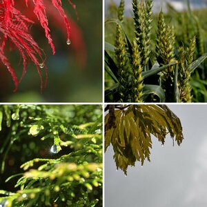Natur