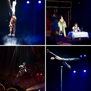 Zirkus Roncalli