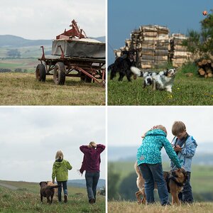 Hundefotografentreffen 2012