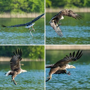 seeadler_workshop_2013