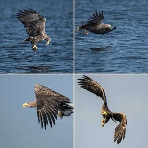 Usedom 2013