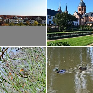 Eins