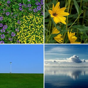 Nordsee 2012