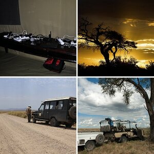 Safariguideline