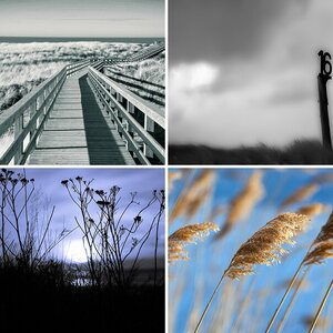 Natur Meer und mehr
