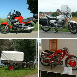 Guzzi