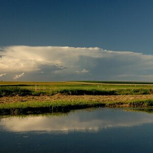 Landschaft