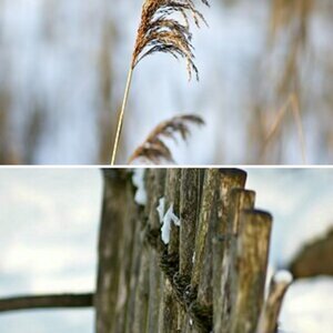 walimex pro 85/1.4 IF