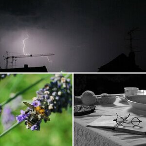 Meine Bilder