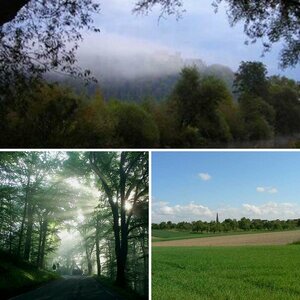 Landscapes