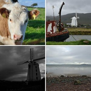 Grünes Irland