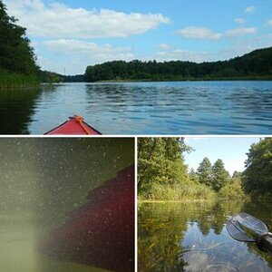 Wasser
