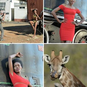 Simbabwe 1