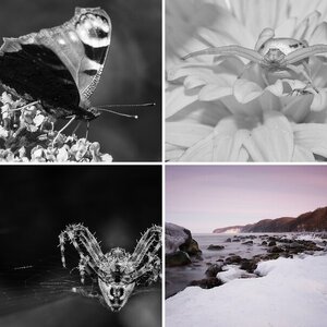 Meine Bilder III