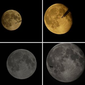Mond mit der Nikon P600
