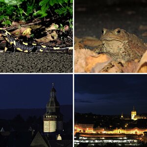 Bei Nacht
