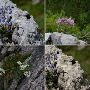 D7100 Naturaufnahmen