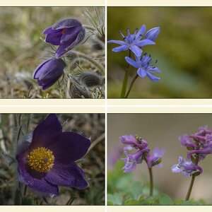 Naturfotos II