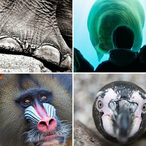 Hagenbeck´s Tierpark Hamburg