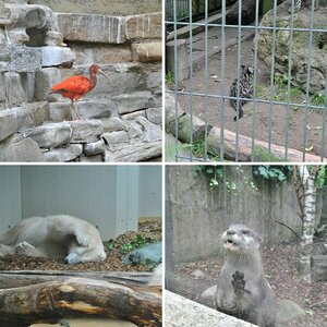 Zoo Wuppertal