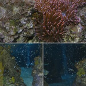Sealife Oberhausen