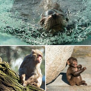 Bilder aus der Wilhelma
