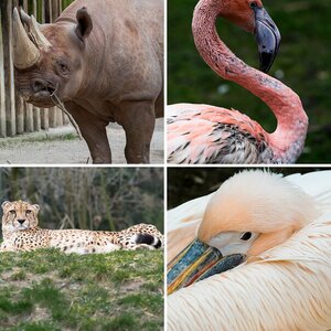 Zoobesuch