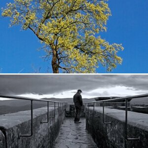 alte Bilder
