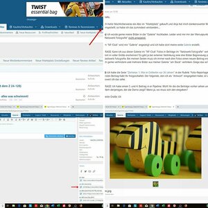 Bilder hochladen und verlinken