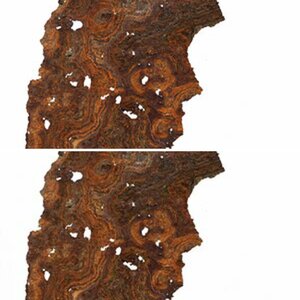 Rost Portrait