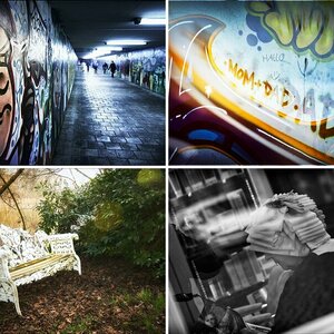 Meine Bilder