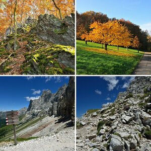 Landschaft