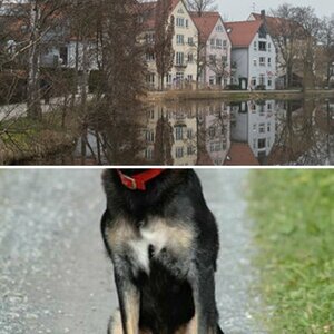 Fotos von HTHF