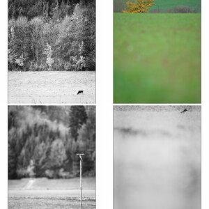 s/w28