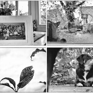 Usedom13_1