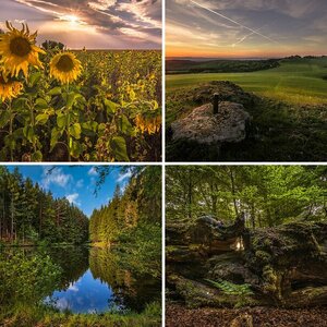 Landschaft