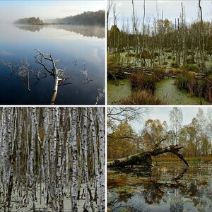 Hasenmoor Oktober 2013