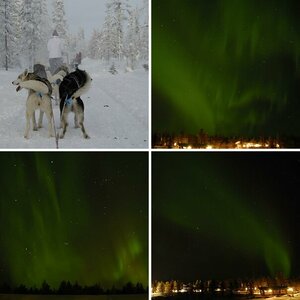 Polar 2012