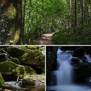 Natur