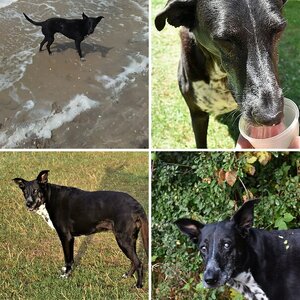 unsere alte Lady Lina