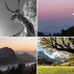 Best of 2018