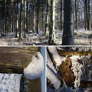 Erste Fotos mit der d750