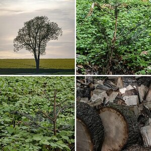 Landschaft