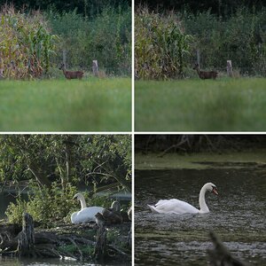 Sigma 150-500