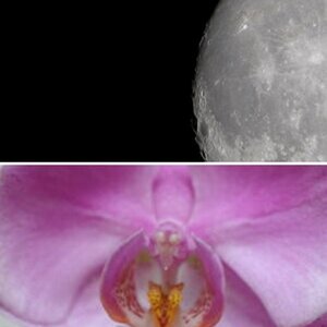 TestBilder
