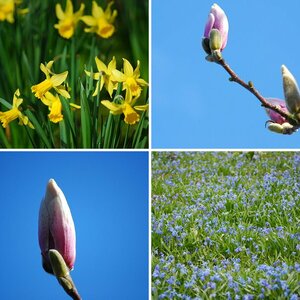Frühling 2010